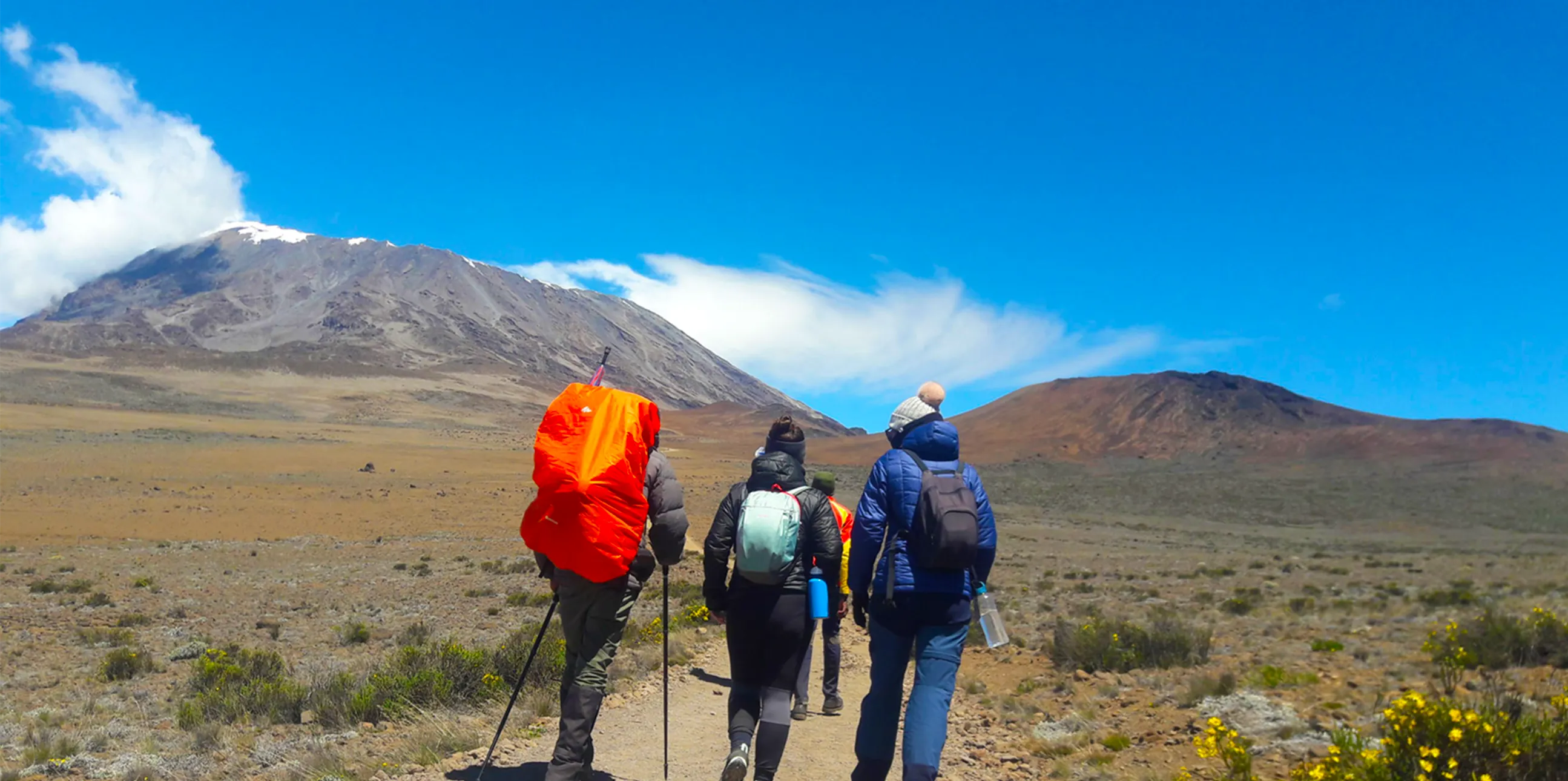 Kilimanjaro Main Experience