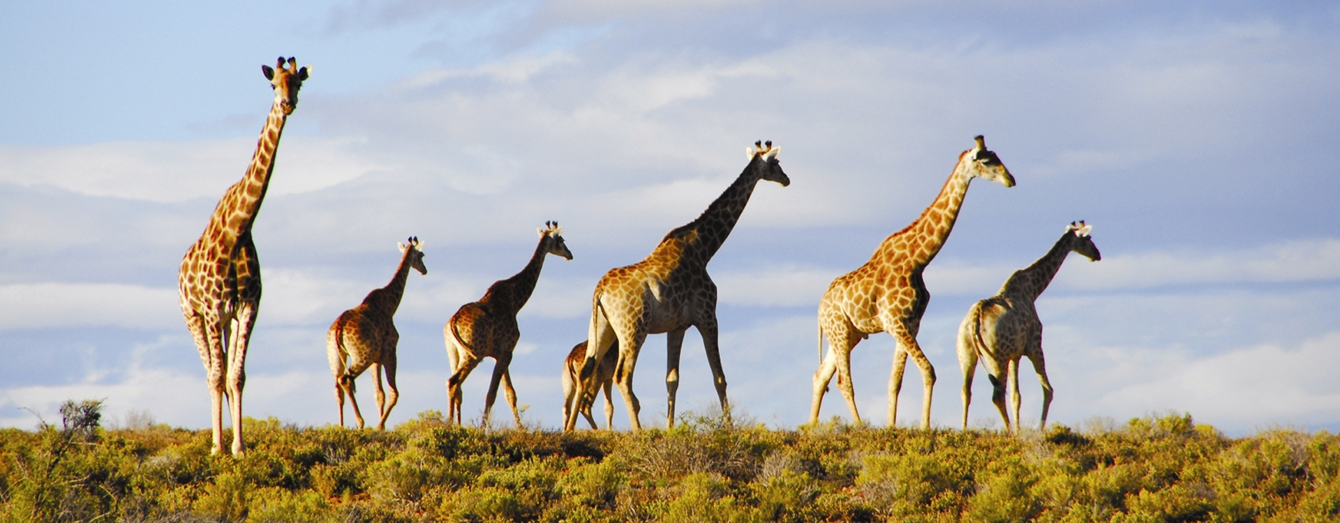 Ngorongoro Crater