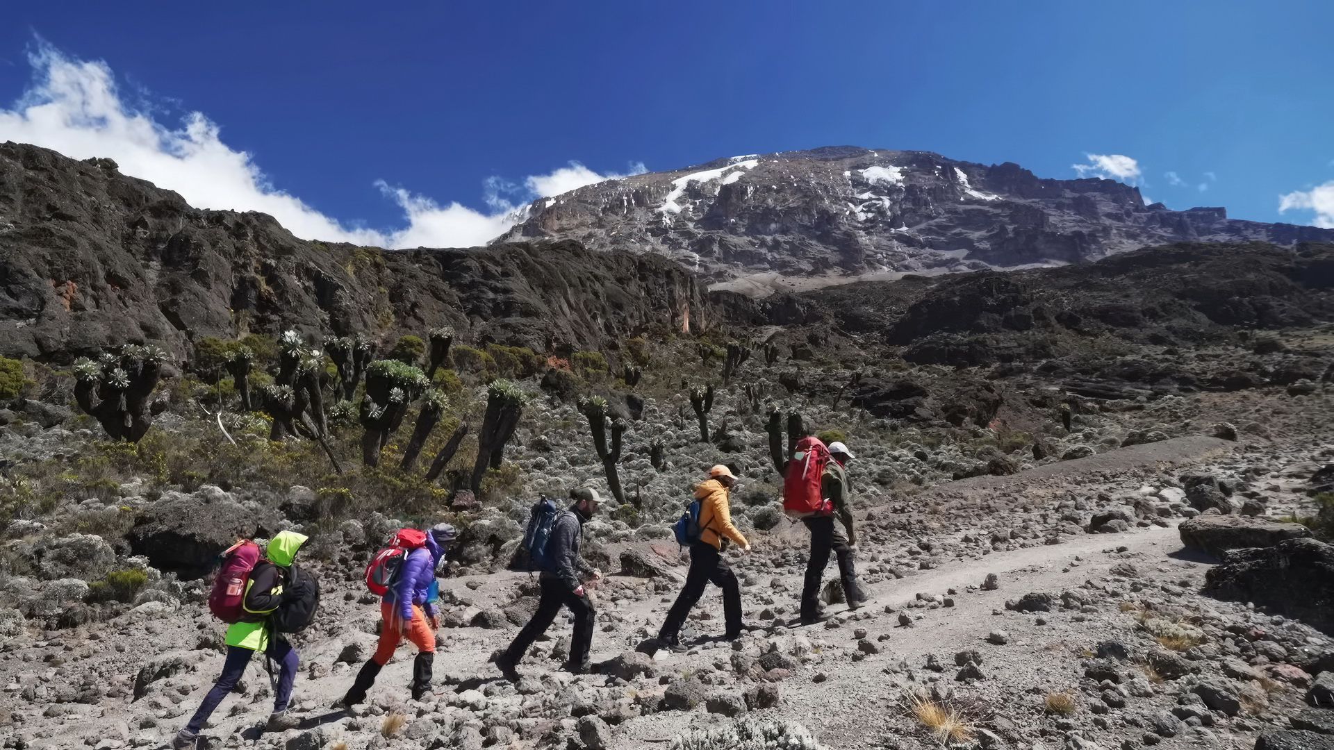 Lemosho Route Kilimanjaro