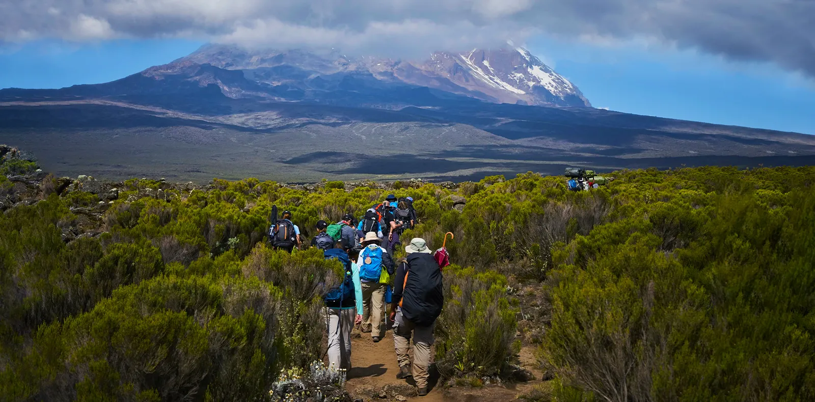 Lemosho Route and Serengeti Safari