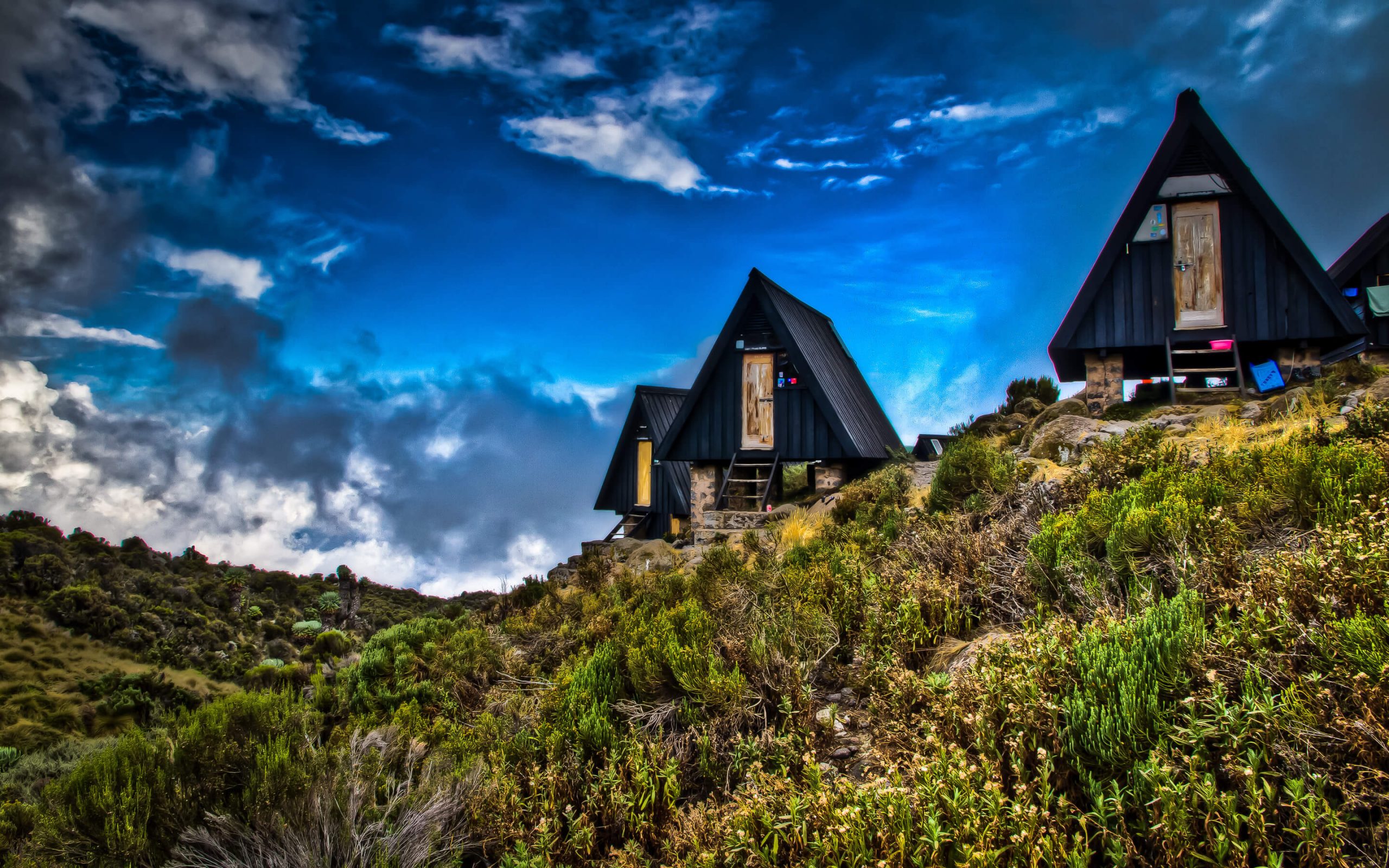 Kilimanjaro Day Hike - Mandara Hut on Marangu Route