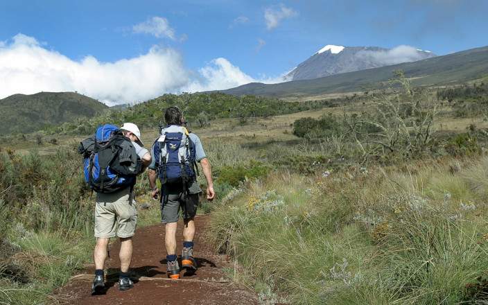 Kilimanjaro Day Hike