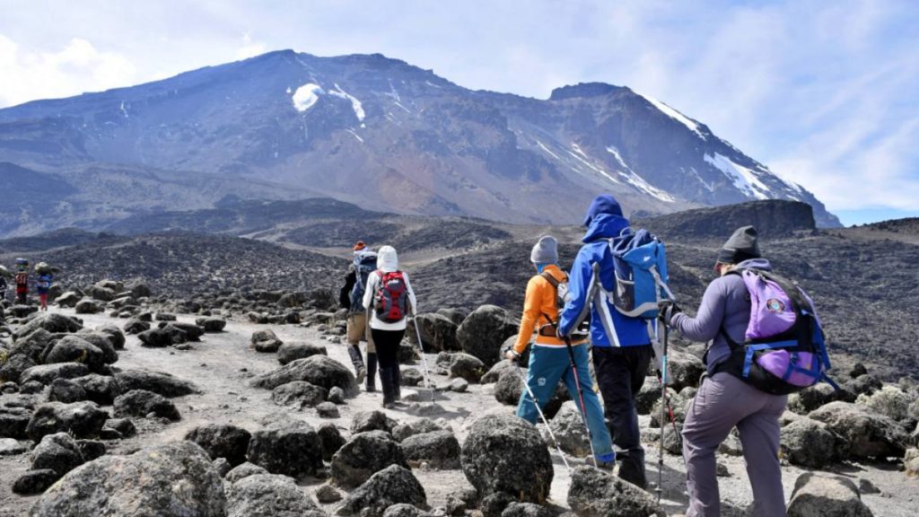 Kilimanjaro environmental conservation efforts
