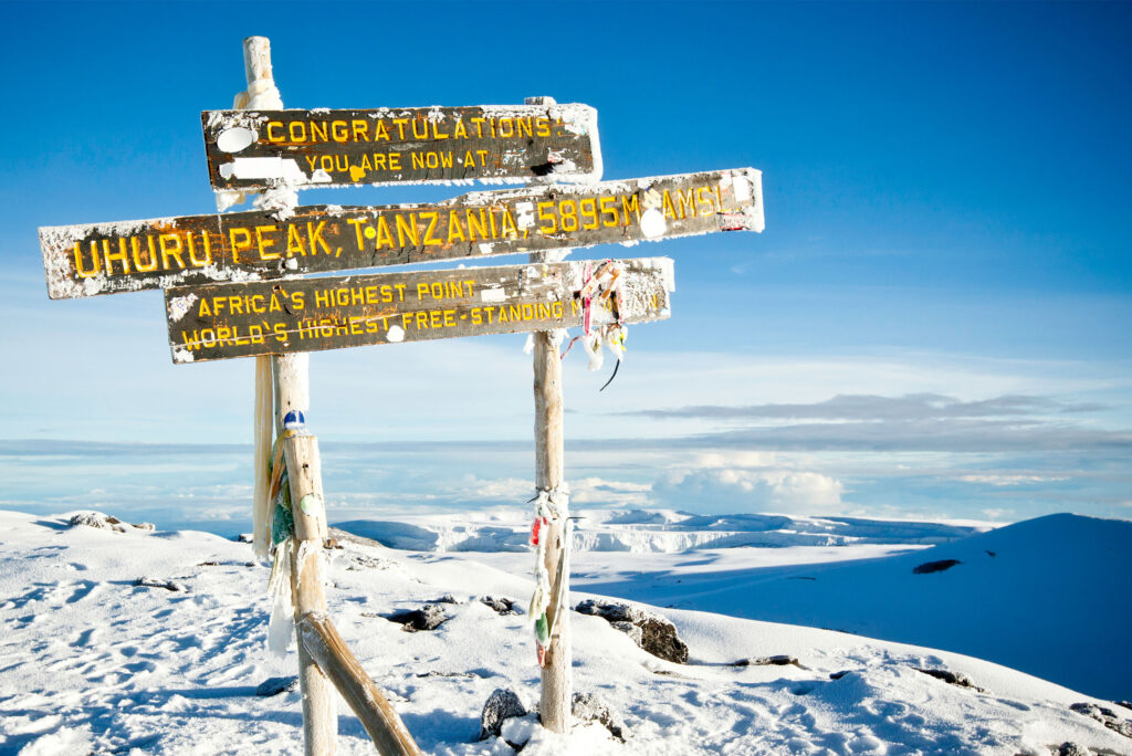 Diverse climbers achieving Kilimanjaro summit