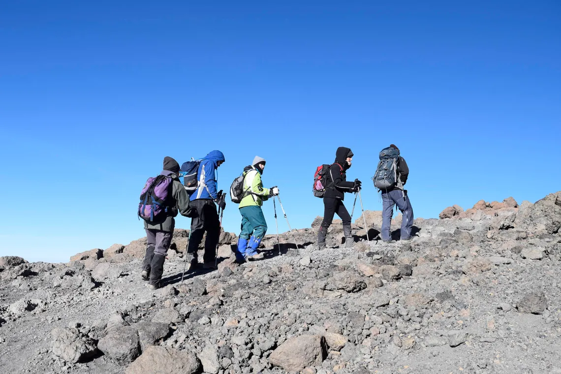 Kilimanjaro Lemosho Route Experience