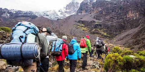 Lemosho Route 7 Days