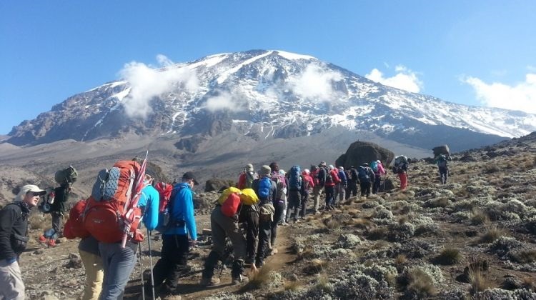 Marangu Route Kilimanjaro