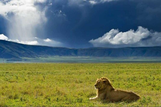 Serengeti and Ngorongoro