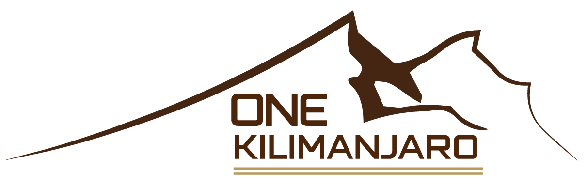 One Kilimanjaro   Logo