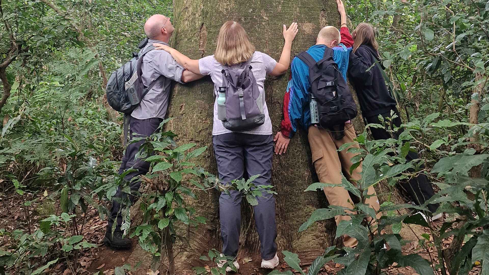 Rau Forest Reserve - Lush green forest with diverse wildlife