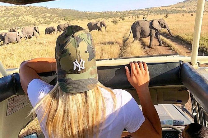 Short Marangu and Safari Combo