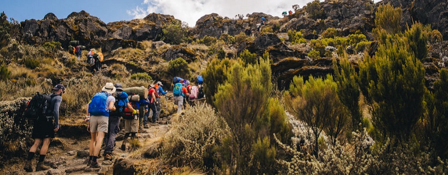 Best climbing seasons for Umbwe Route